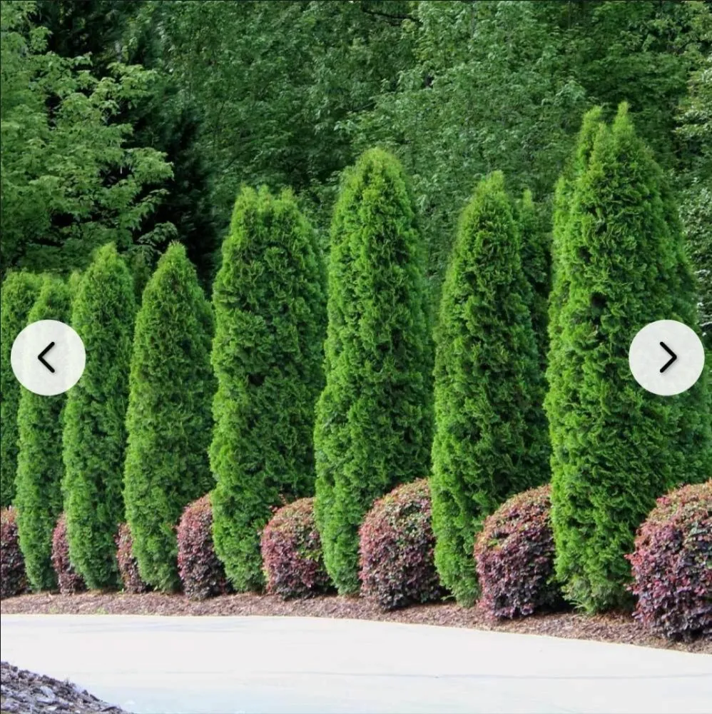 Expert landscape design for homes across Lewes, DE - Joshua's Landscaping