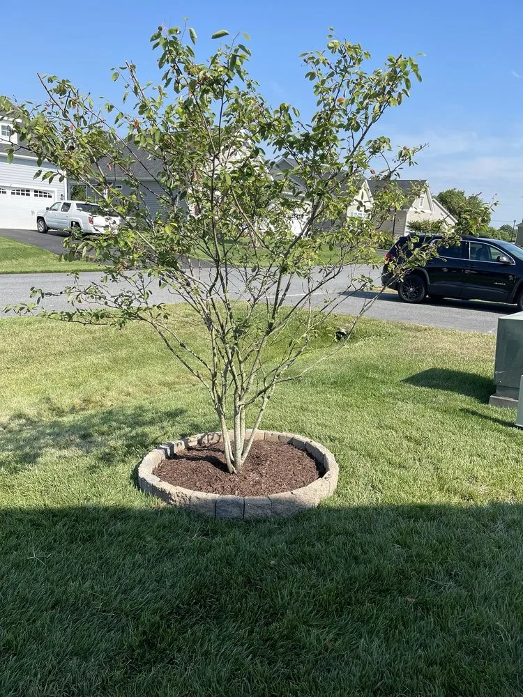 Expert yard maintenance experts serving Lewes, DE - Joshua's Landscaping