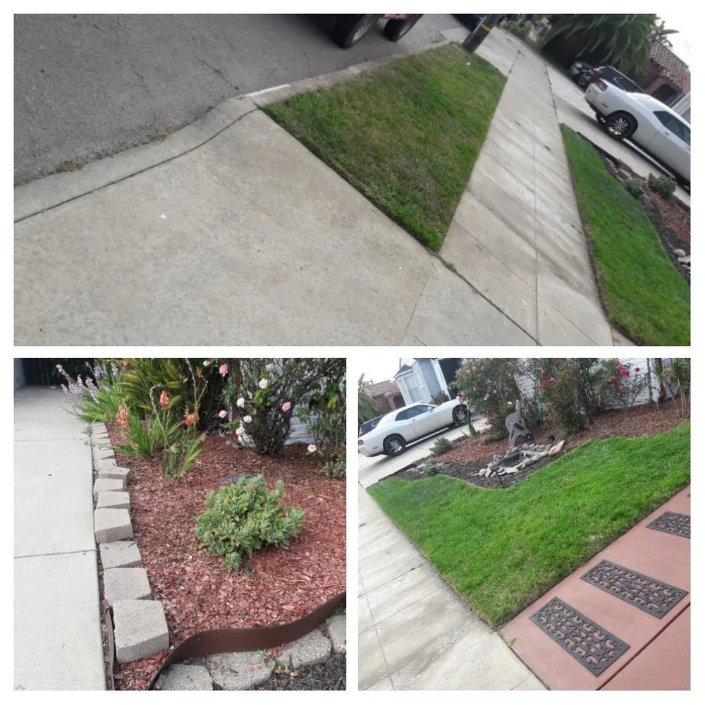 Local lawn care service experts serving Suisun City, CA - Joshua's Landscaping