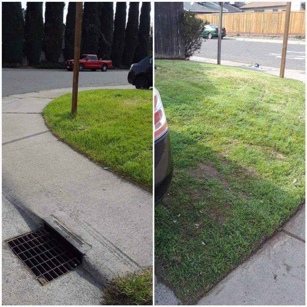 Professional lawn care service in Suisun City, CA - Joshua's Landscaping