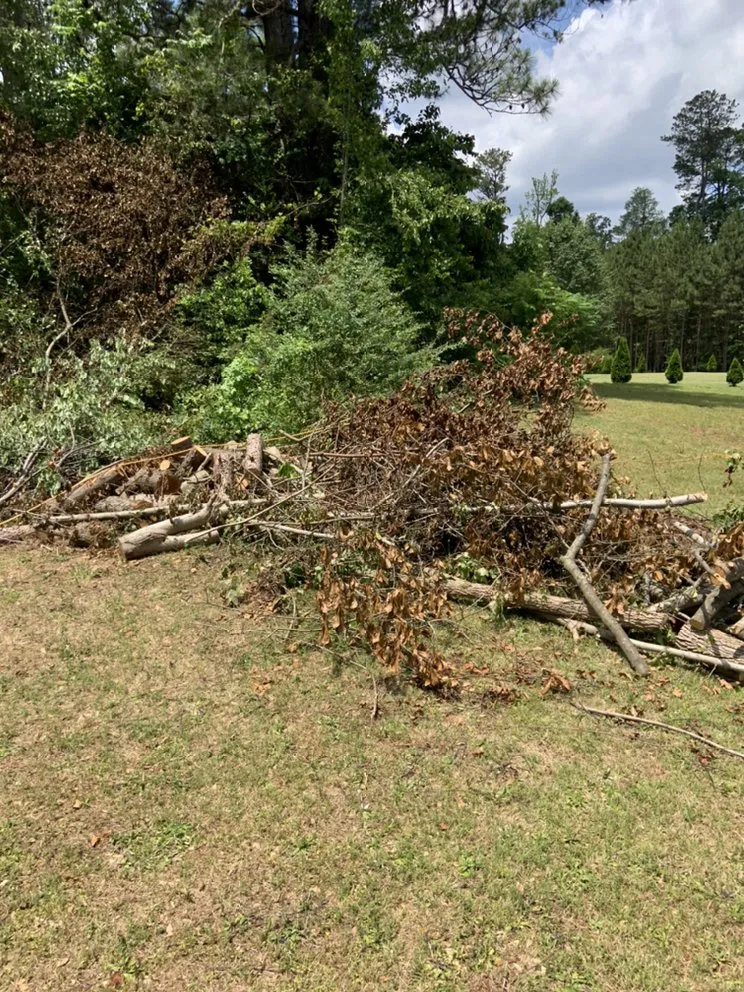 Affordable lawn care service with custom design in Lithonia, GA by Joshua’s Tree And Lawn Services