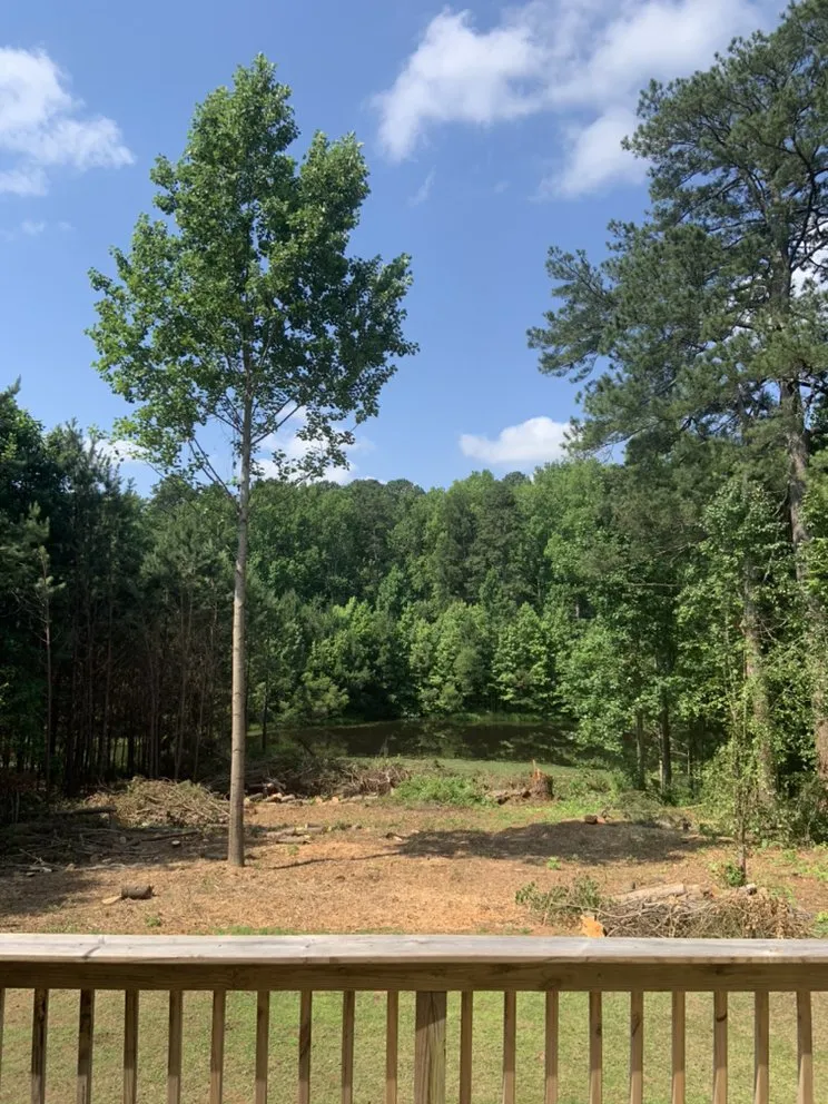 Local garden landscaping experts serving Lithonia, GA - Joshua’s Tree And Lawn Services