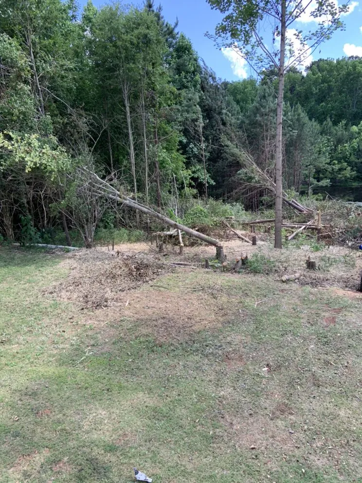 Professional landscape installation with custom design in Lithonia, GA by Joshua’s Tree And Lawn Services