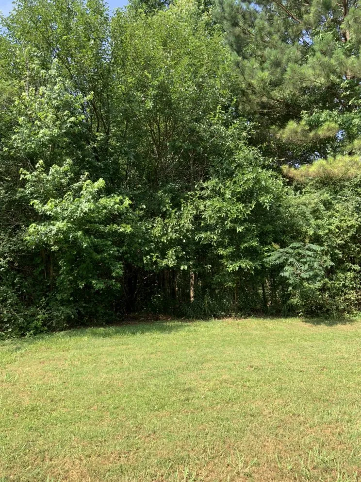 Professional landscaping services for beautiful yards across Lithonia, GA - Joshua’s Tree And Lawn Services