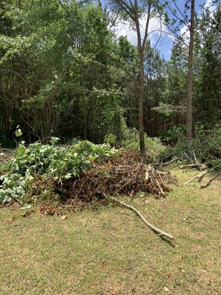 Local lawn care service in Lithonia, GA by Joshua’s Tree And Lawn Services