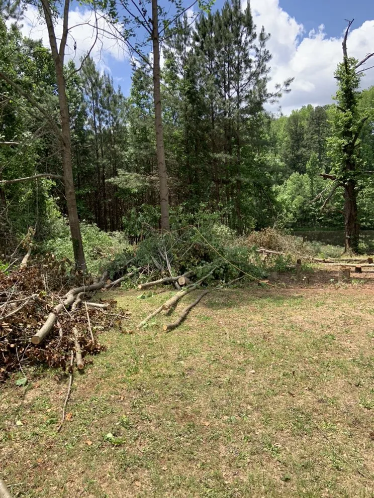 Professional yard cleanup service for homes across Lithonia, GA - Joshua’s Tree And Lawn Services