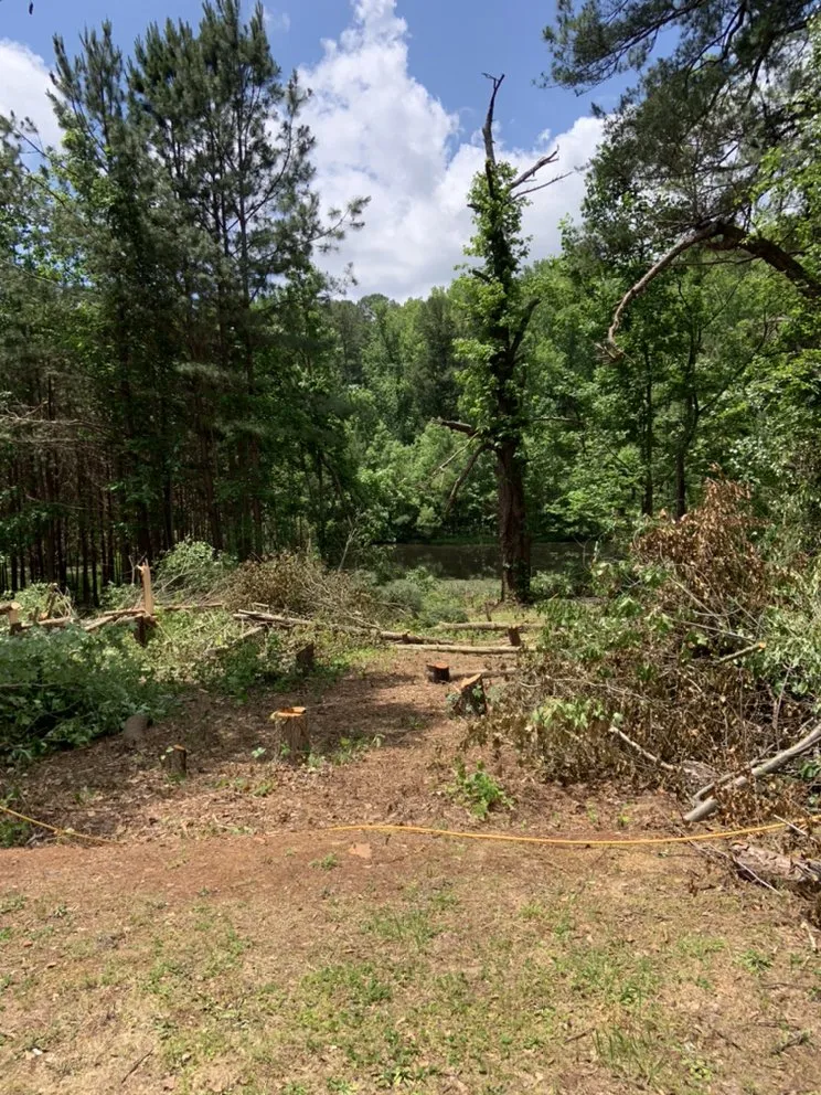 Expert yard cleanup service with custom design across Lithonia, GA - Joshua’s Tree And Lawn Services