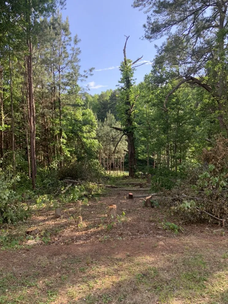 Reliable landscape installation experts serving Lithonia, GA - Joshua’s Tree And Lawn Services