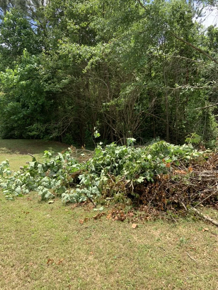 Local outdoor landscaping in Lithonia, GA - Joshua’s Tree And Lawn Services