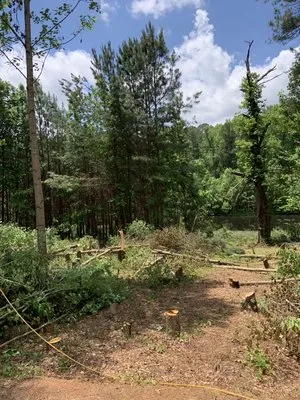 Joshua’s Tree And Lawn Services Logo