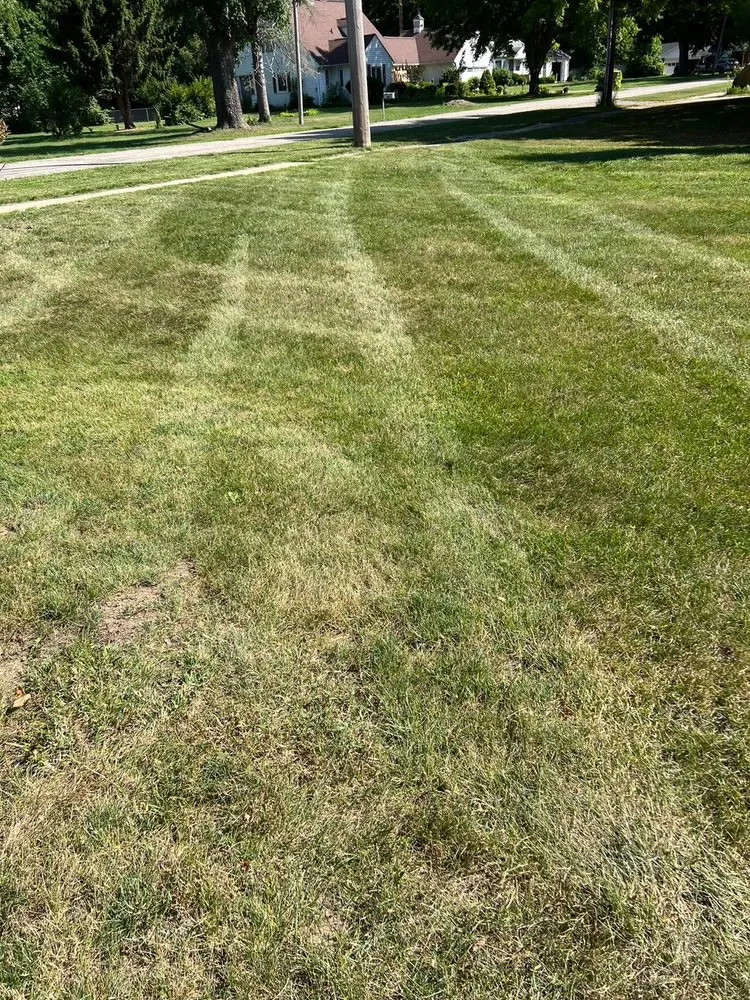 Local yard cleanup service in Jonesville, MI - Josiah's Lawncare
