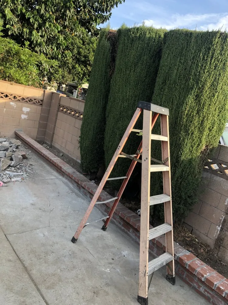 Reliable yard cleanup service near you in West Covina, CA by Josie's Gardening & Landscaping Services