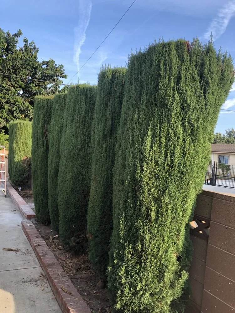 Trusted landscape design experts serving West Covina, CA - Josie's Gardening & Landscaping Services