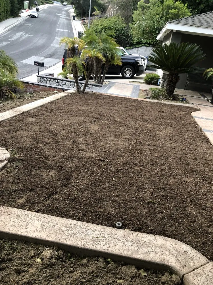 Trusted yard cleanup service in West Covina, CA - Josie's Gardening & Landscaping Services