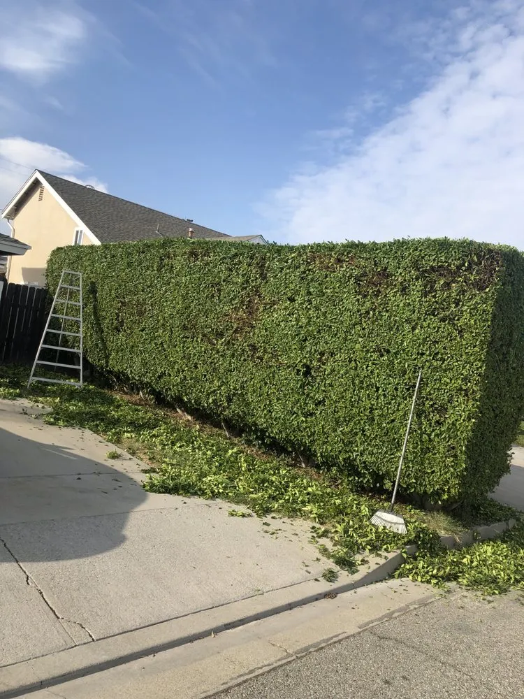 Affordable landscaping services in West Covina, CA by Josie's Gardening & Landscaping Services