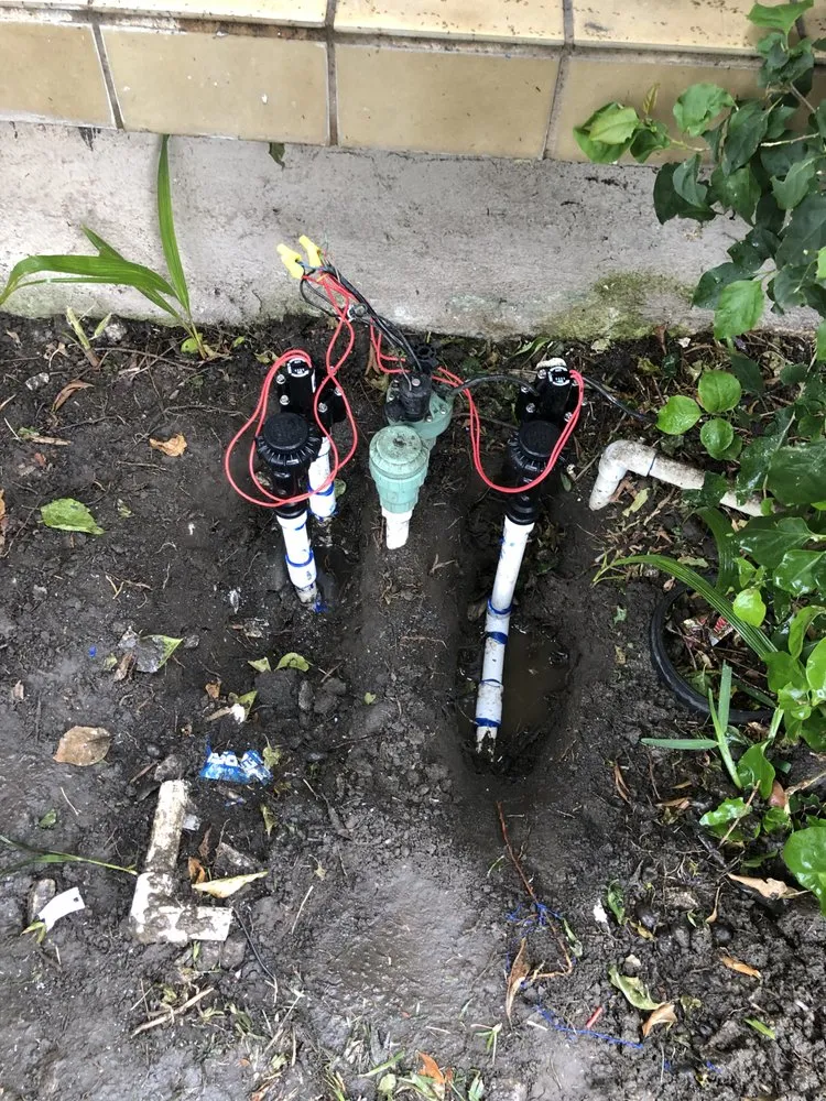 Reliable lawn care service in West Covina, CA by Josie's Gardening & Landscaping Services