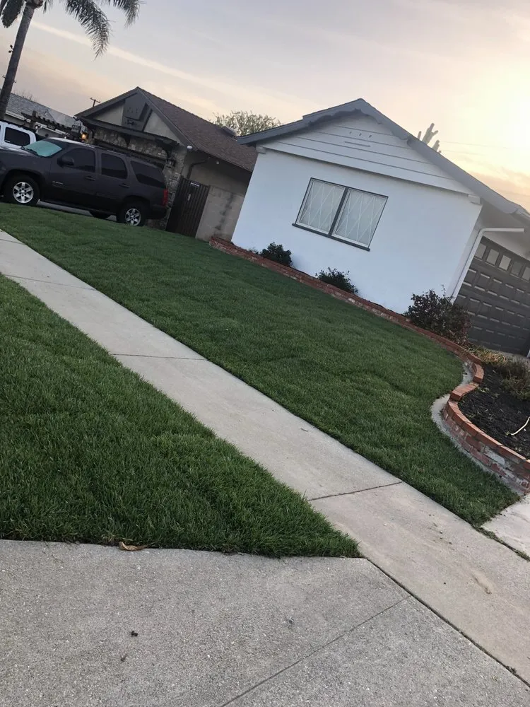 Professional yard maintenance experts serving West Covina, CA - Josie's Gardening & Landscaping Services