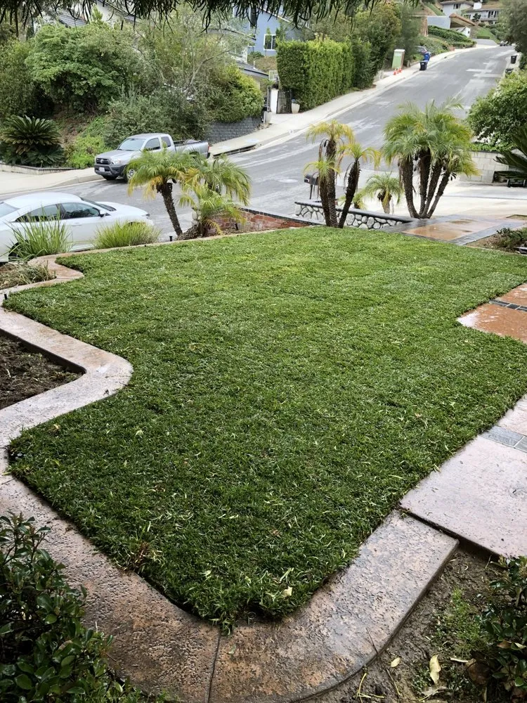 Expert yard maintenance in West Covina, CA by Josie's Gardening & Landscaping Services