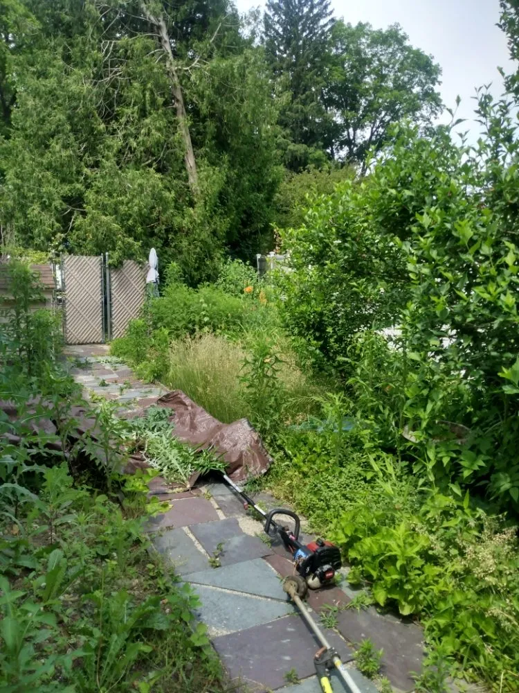 Reliable yard cleanup service experts serving Leominster, MA - Josi's Lawn Care