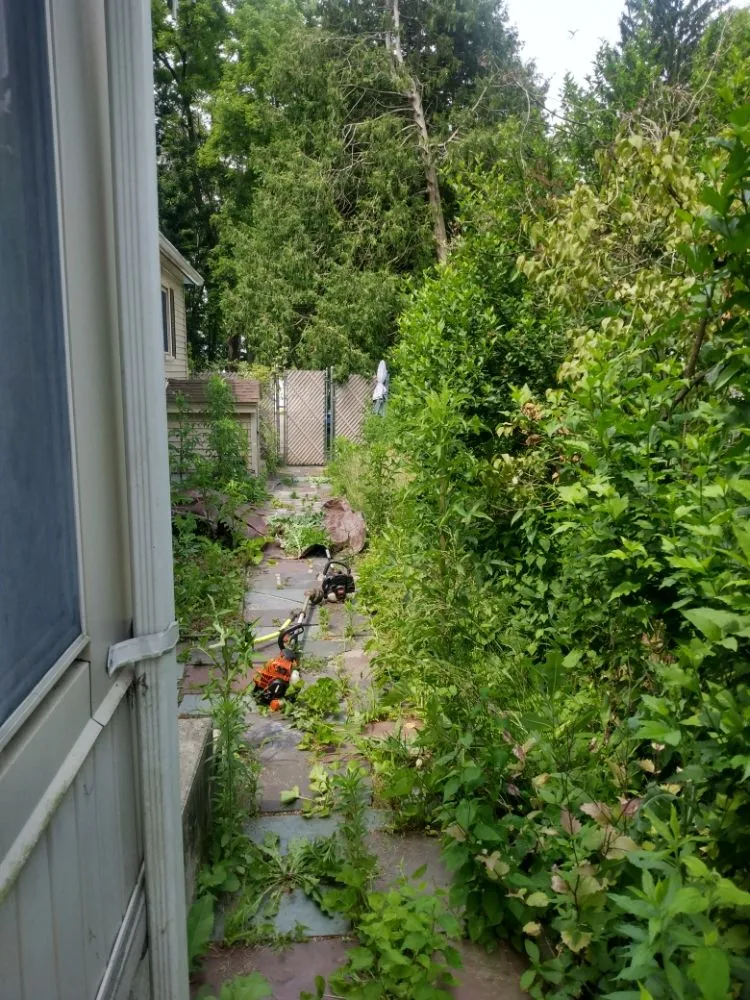 Affordable landscaping services for year-round maintenance across Leominster, MA - Josi's Lawn Care