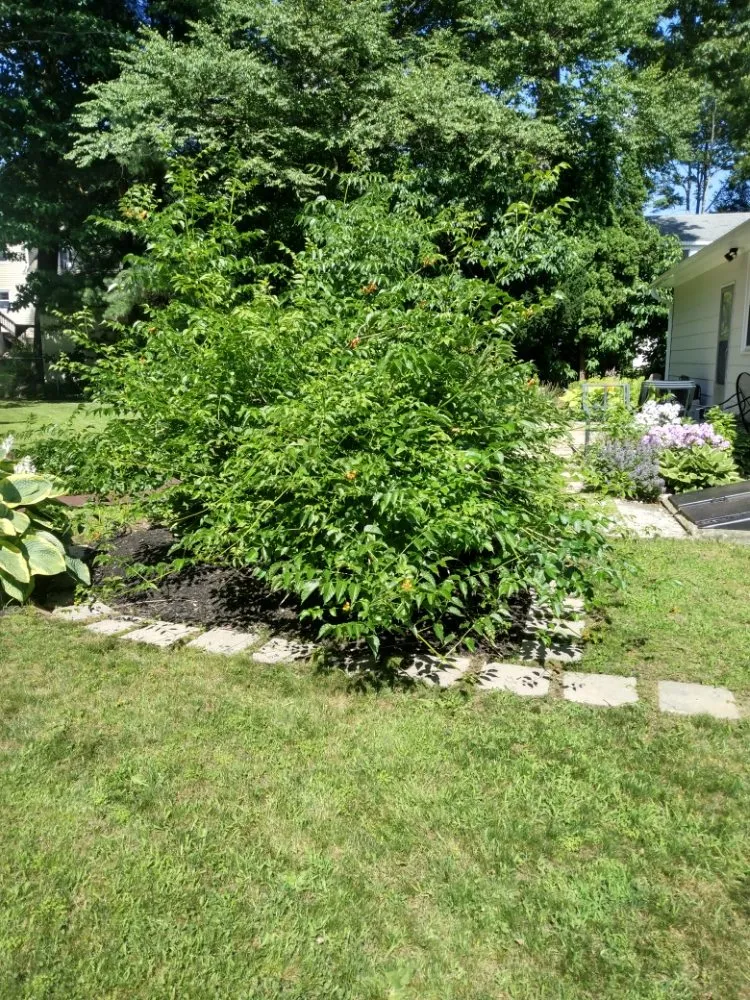 Expert outdoor landscaping experts serving Leominster, MA - Josi's Lawn Care