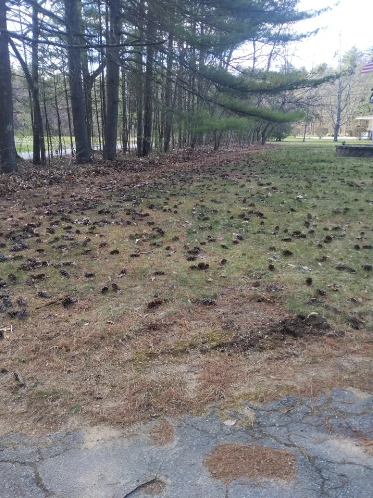 Top-rated landscape design for residential properties across Leominster, MA - Josi's Lawn Care