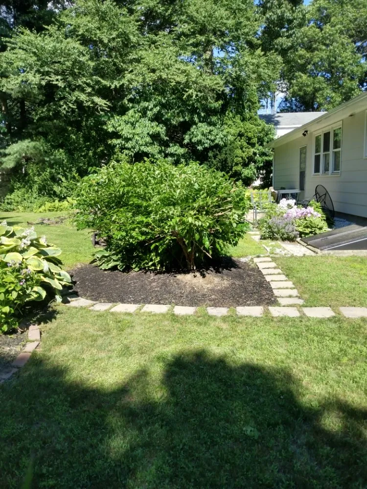 Custom lawn mowing service in Leominster, MA by Josi's Lawn Care