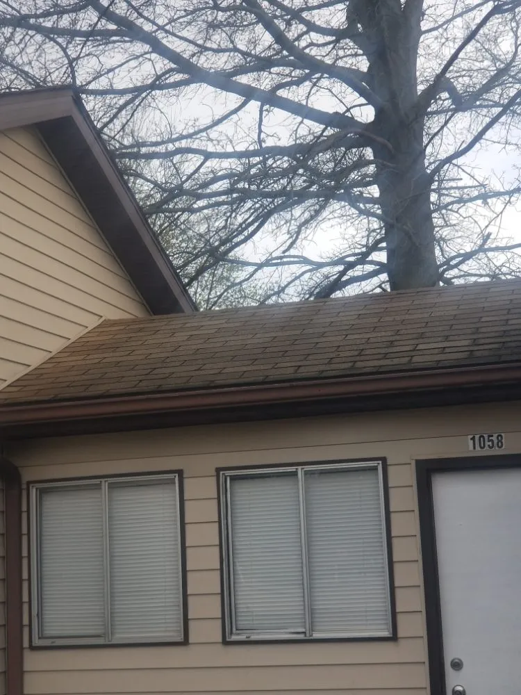 Trusted landscaping services in Terre Haute, IN by Joslin pressure washing