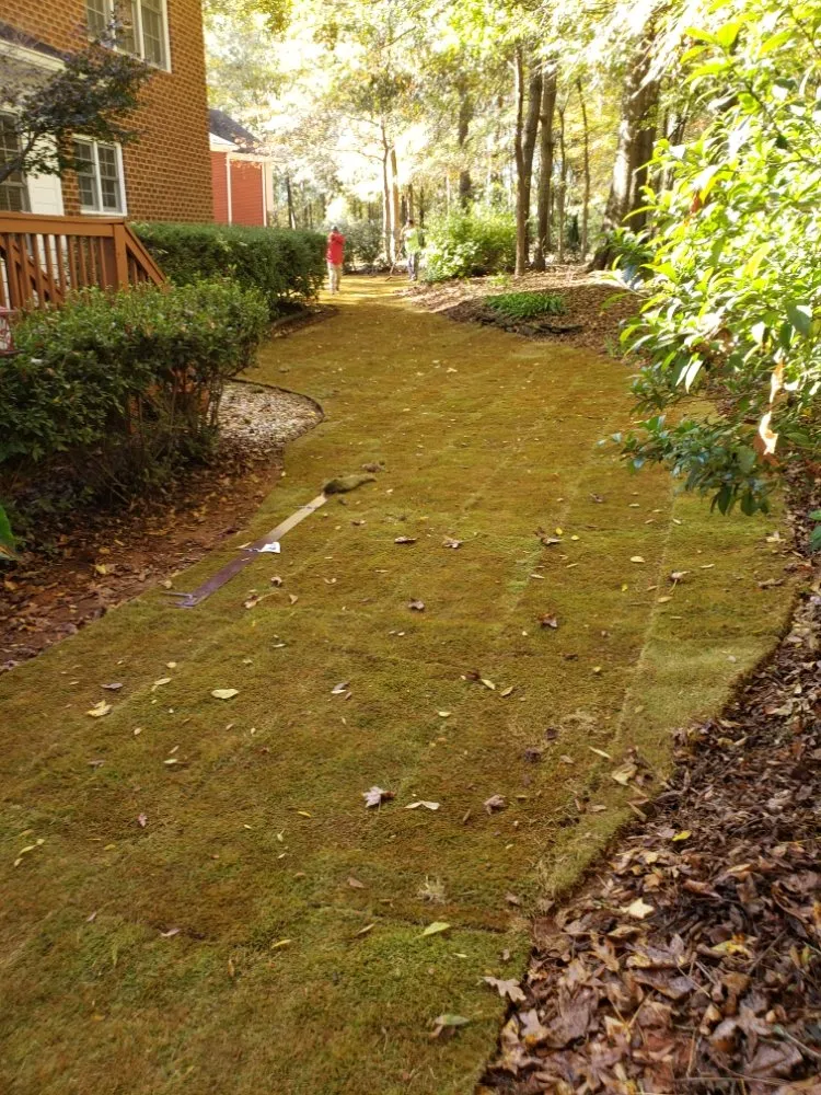 Affordable garden landscaping for beautiful yards in Winterville, GA by Josue Canelas