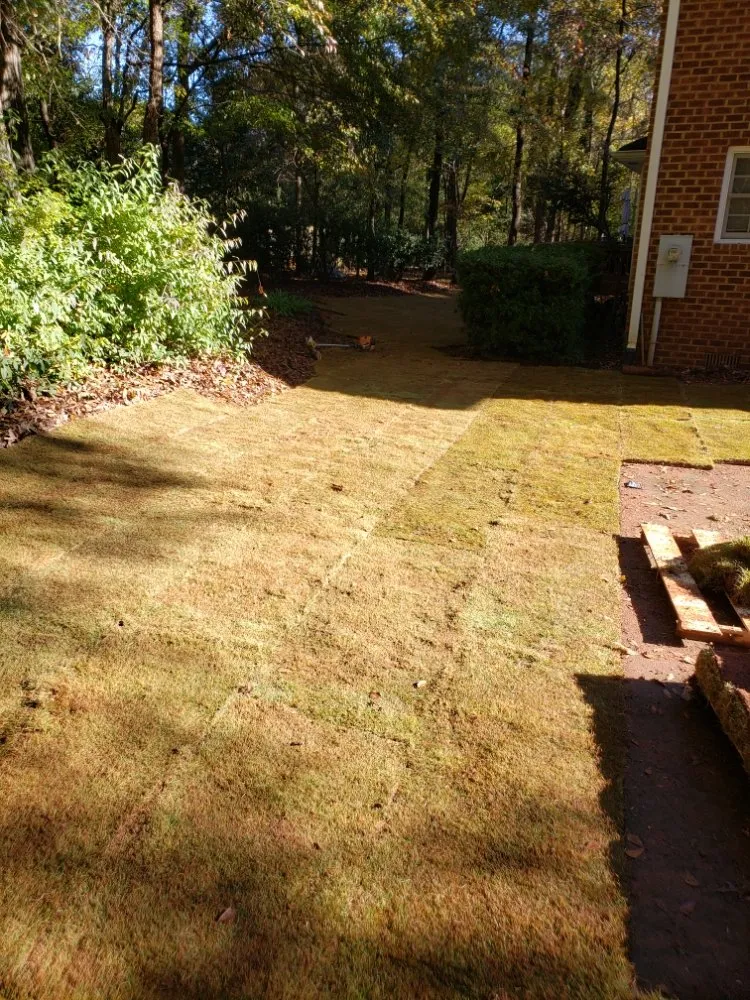 Reliable yard maintenance in Winterville, GA - Josue Canelas