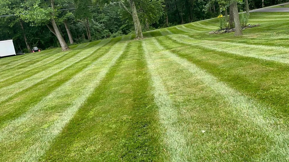 Reliable yard cleanup service for outdoor upgrades in Essex, MD by Josue Landscape