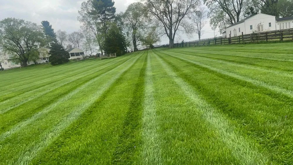 Top-rated garden landscaping in Essex, MD by Josue Landscape