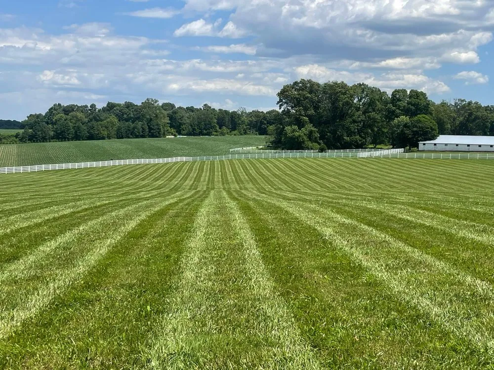 Top-rated landscape installation in Essex, MD by Josue Landscape