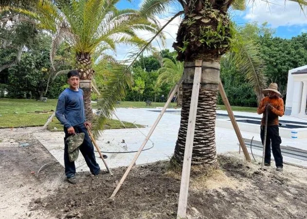 Expert lawn care service experts serving Miami, FL - Josue Landscaping