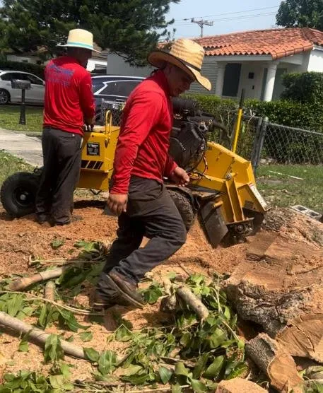 Top-rated landscaping services experts serving Miami, FL - Josue Landscaping