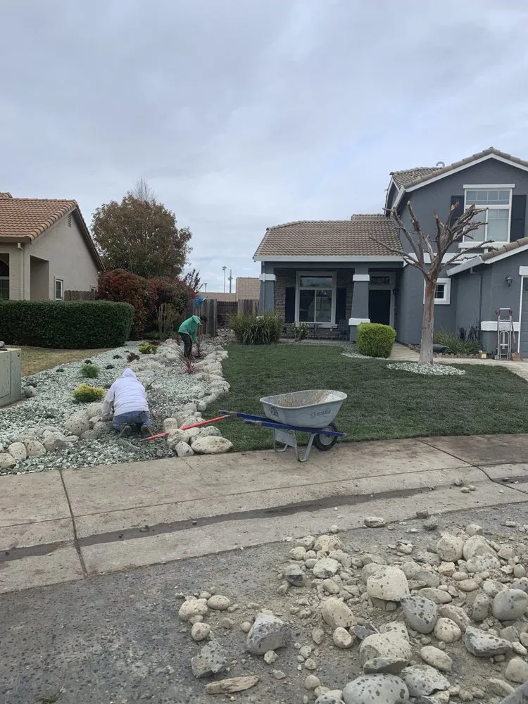 Custom yard cleanup service experts serving North Highlands, CA - Josue Landscaping Service