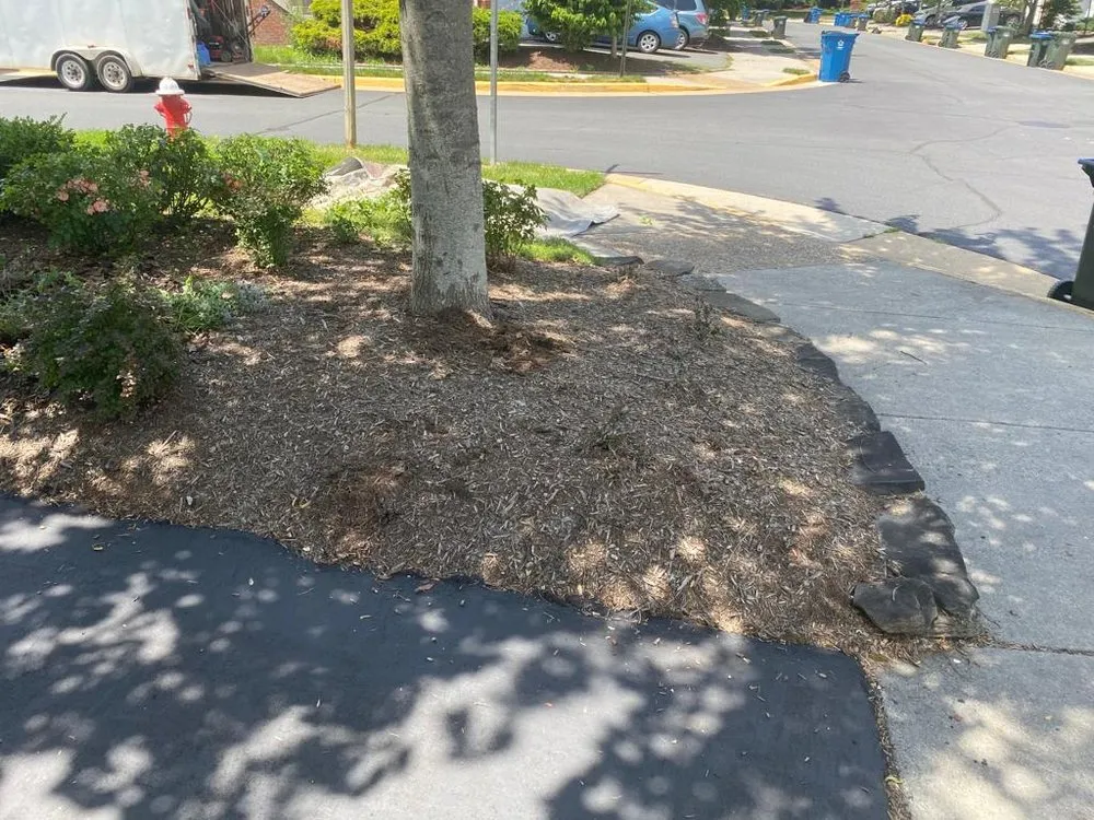 Reliable yard maintenance near you in Manassas, VA by Josue Landscaping Services