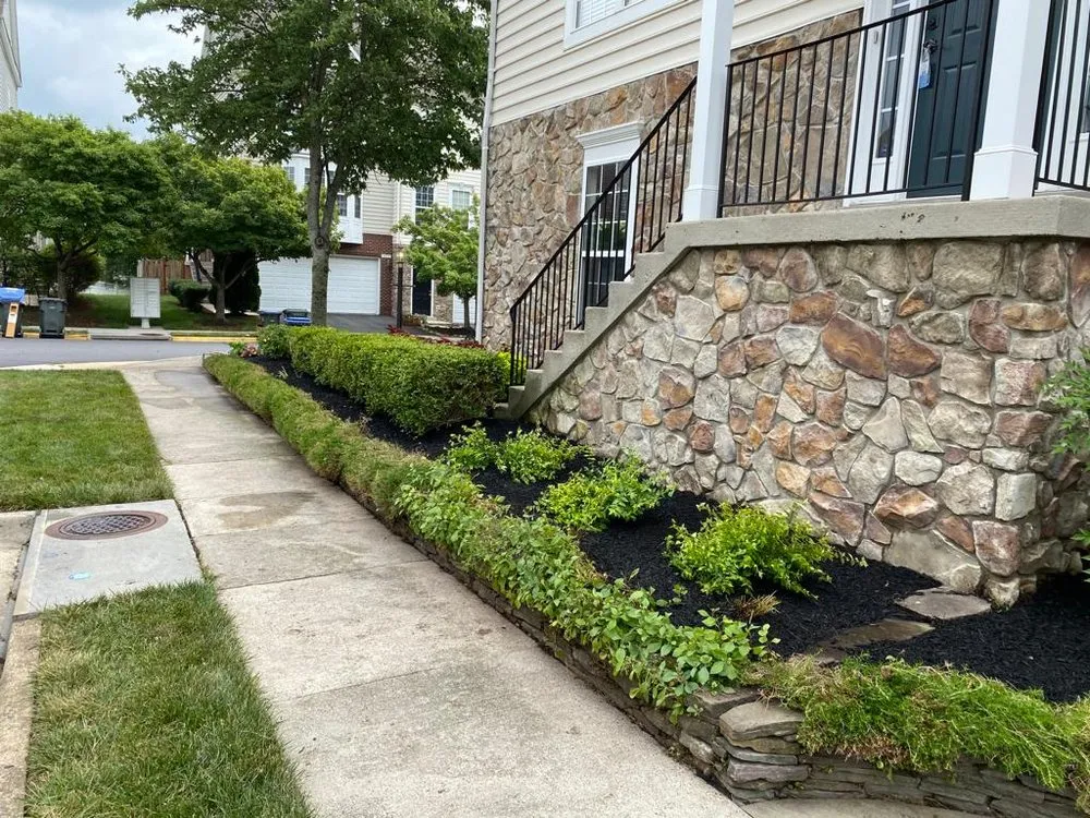Local yard cleanup service for outdoor upgrades across Manassas, VA - Josue Landscaping Services