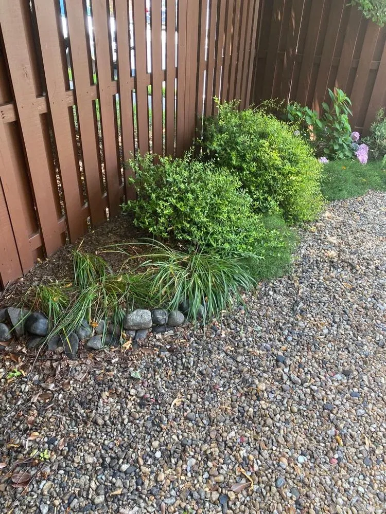 Affordable landscape installation in Manassas, VA - Josue Landscaping Services