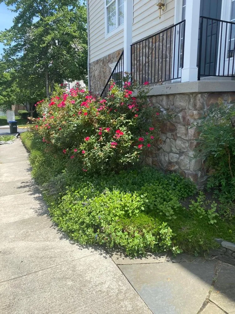 Affordable landscaping services experts serving Manassas, VA - Josue Landscaping Services