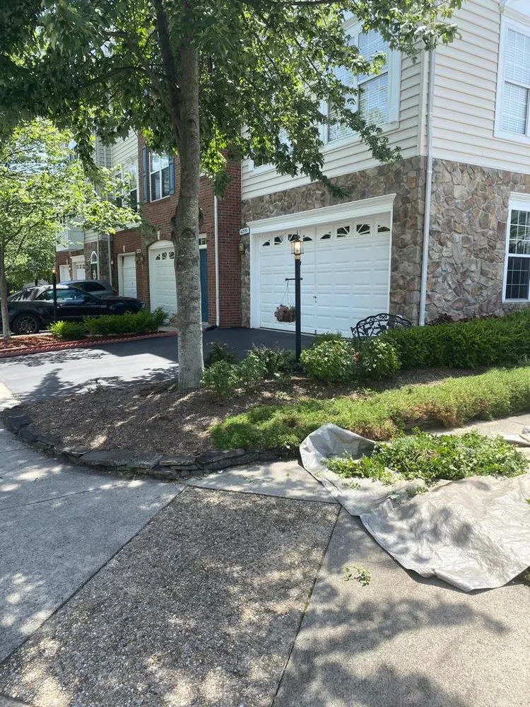 Expert yard cleanup service for outdoor upgrades in Manassas, VA by Josue Landscaping Services