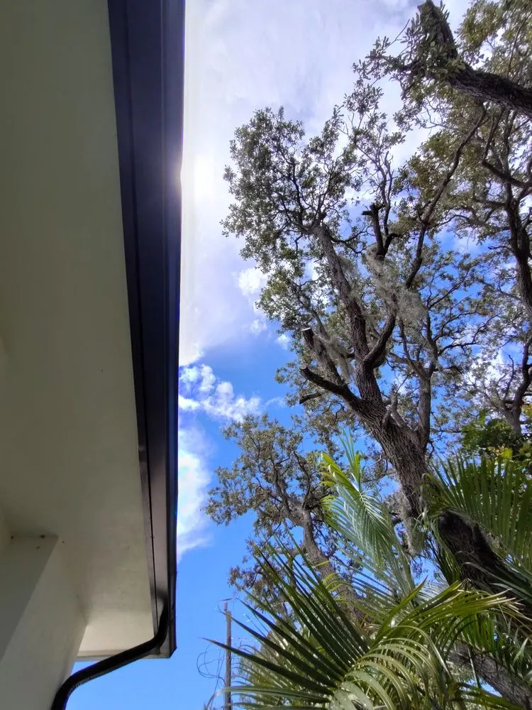 Local landscape installation in Naples, FL - Josue Maintenance