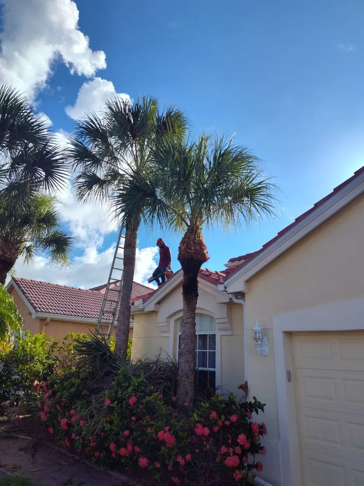 Expert lawn care service in Naples, FL - Josue Maintenance