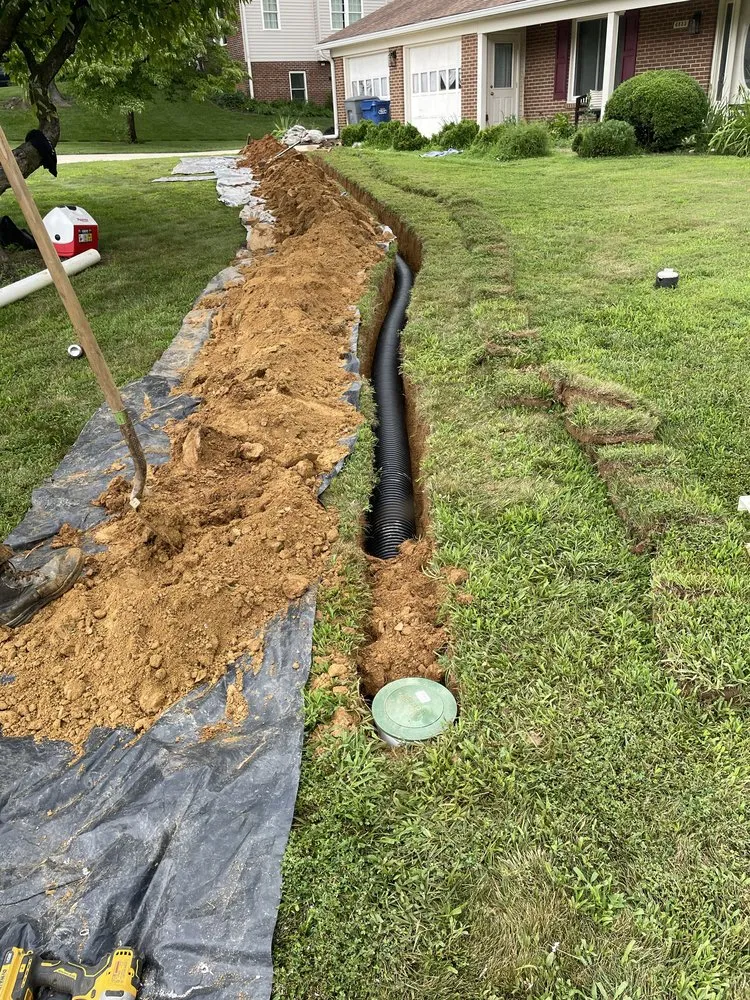 Top-rated yard cleanup service experts serving Vienna, VA - Josue’s drainage & hardscape