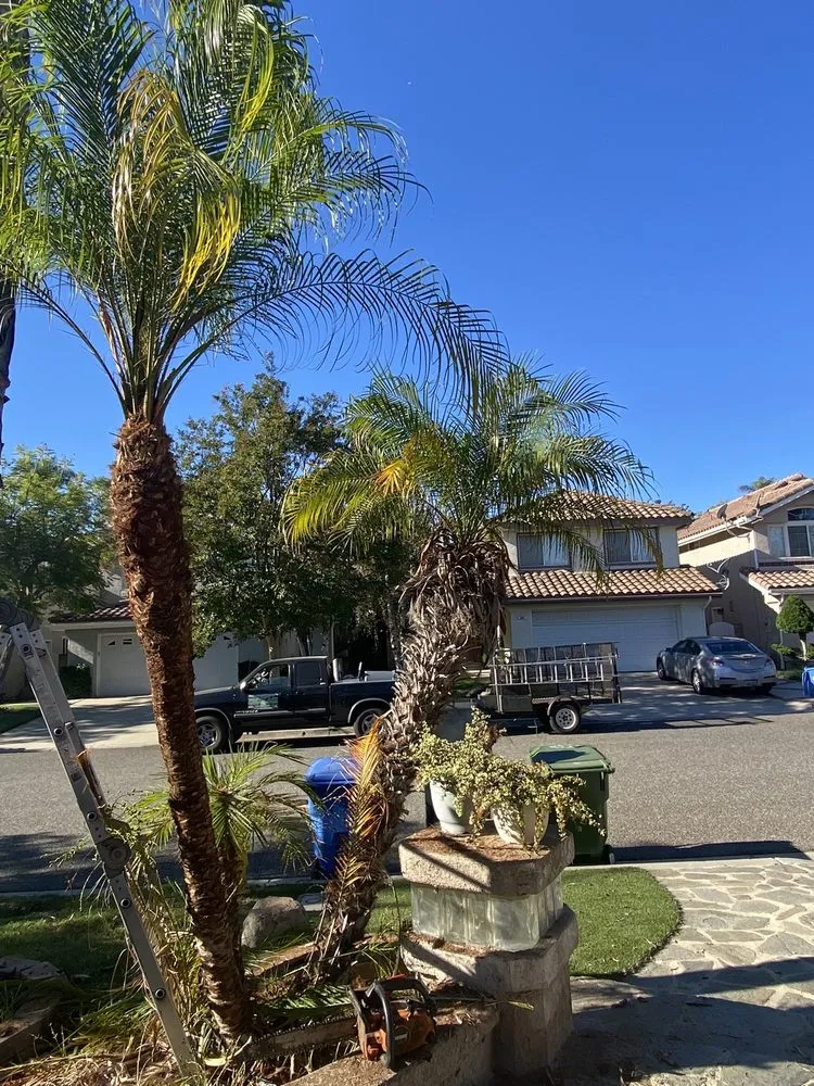 Professional garden landscaping experts serving Simi Valley, CA - Josue's Landscaping and Tree Service