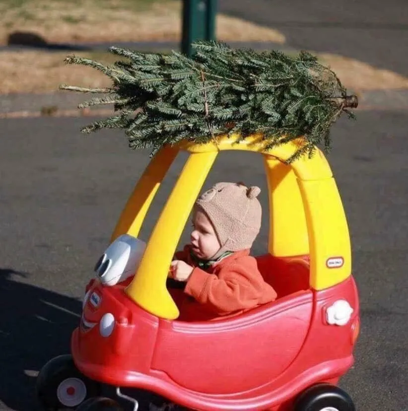 Reliable residential landscaping for year-round maintenance across Simi Valley, CA - Josue's Landscaping and Tree Service