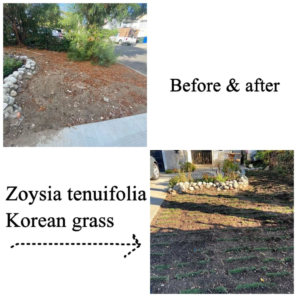 Reliable yard maintenance in Simi Valley, CA - Josue's Landscaping and Tree Service