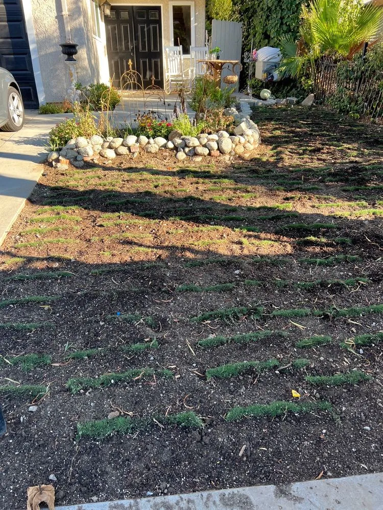 Reliable residential landscaping in Simi Valley, CA - Josue's Landscaping and Tree Service