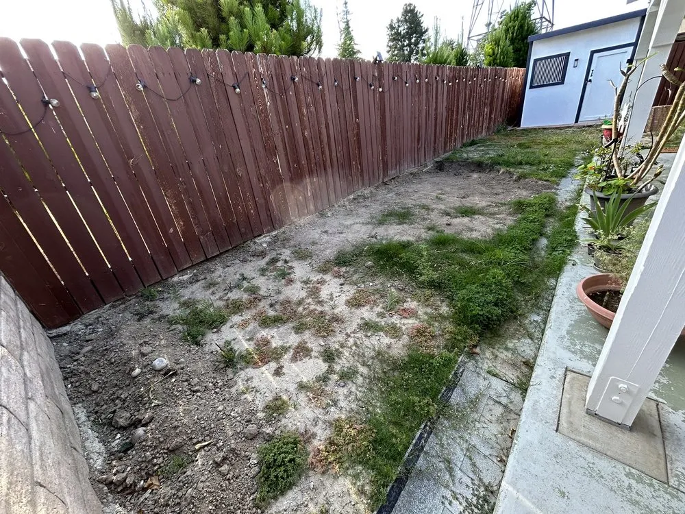 Affordable yard cleanup service experts serving Simi Valley, CA - Josue's Landscaping and Tree Service