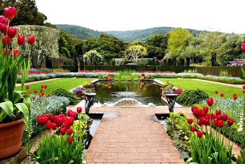 Expert yard maintenance for beautiful yards across Brownsville, TX - Josue's Landscaping